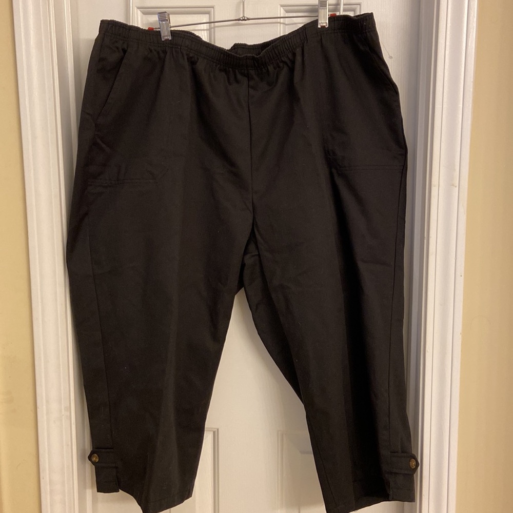 Allison Daley Capri slacks.
